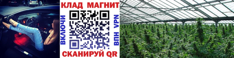 Купить наркотики сайты Тбилисская гидра ссылка  Cocaine  СОЛЬ 