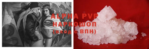 стаф Краснослободск