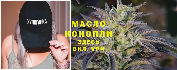 стаф Краснослободск