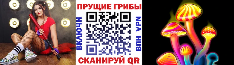 Галлюциногенные грибы Cubensis Тбилисская